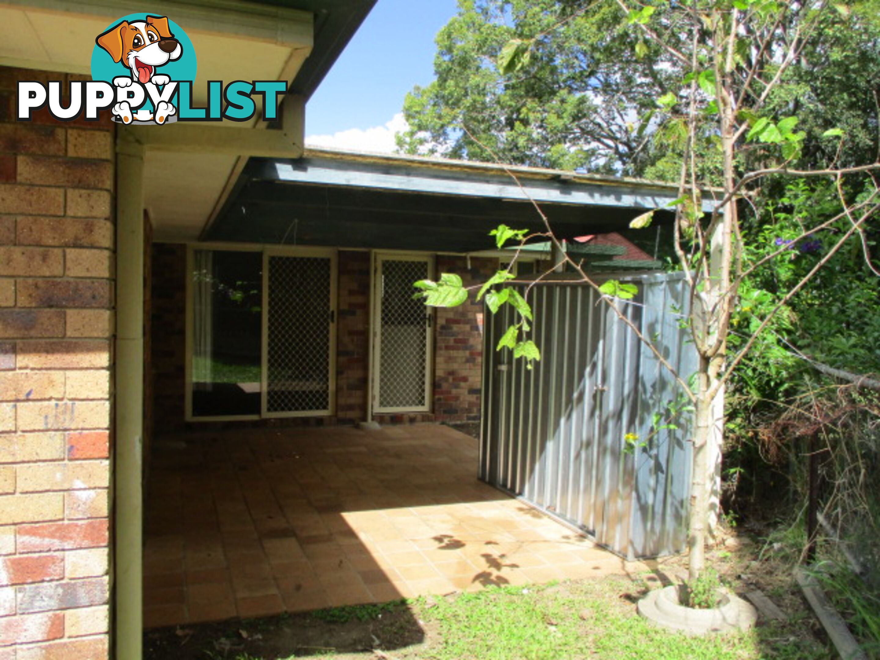 55 St Andrew Street KURABY QLD 4112