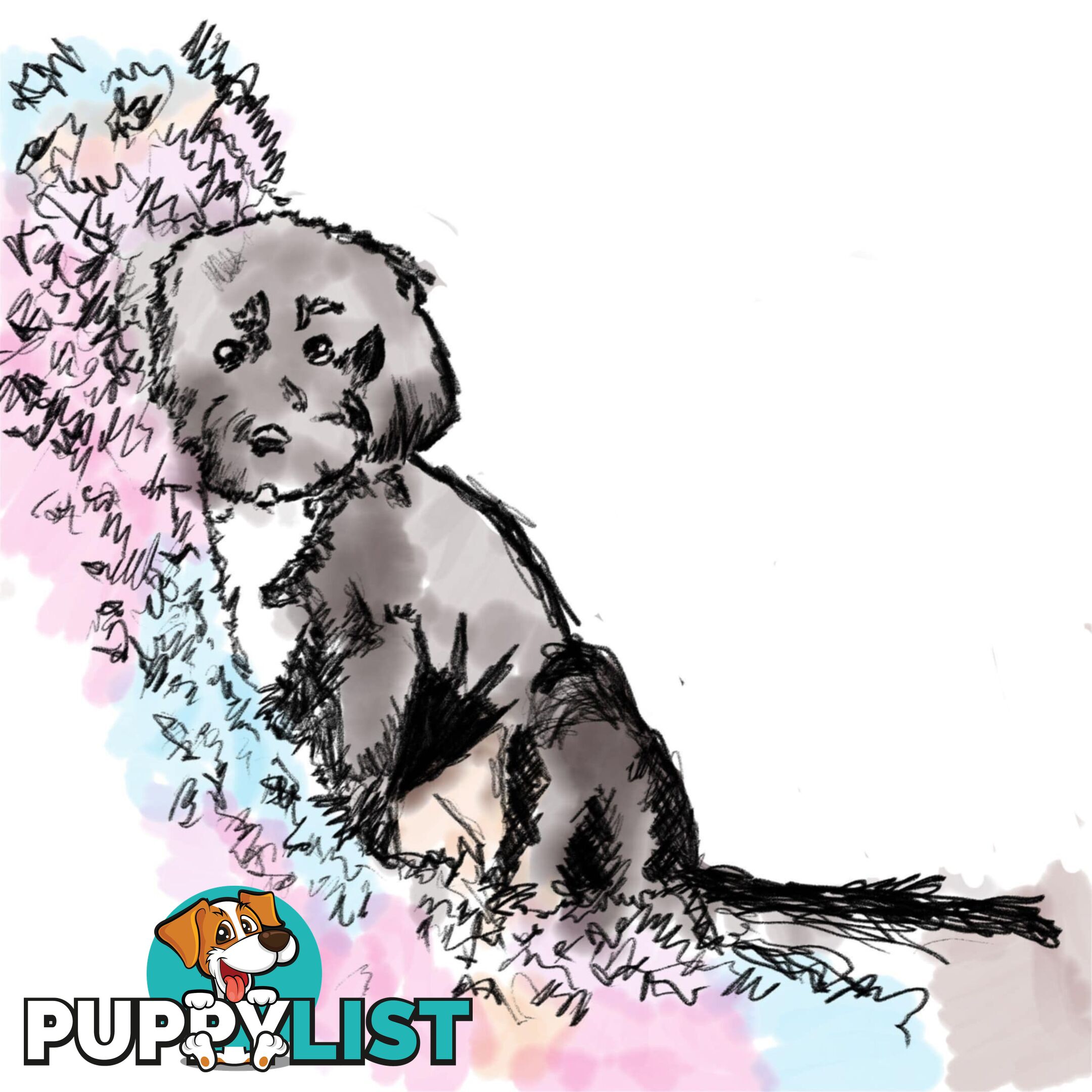 PET PORTRAITS - All