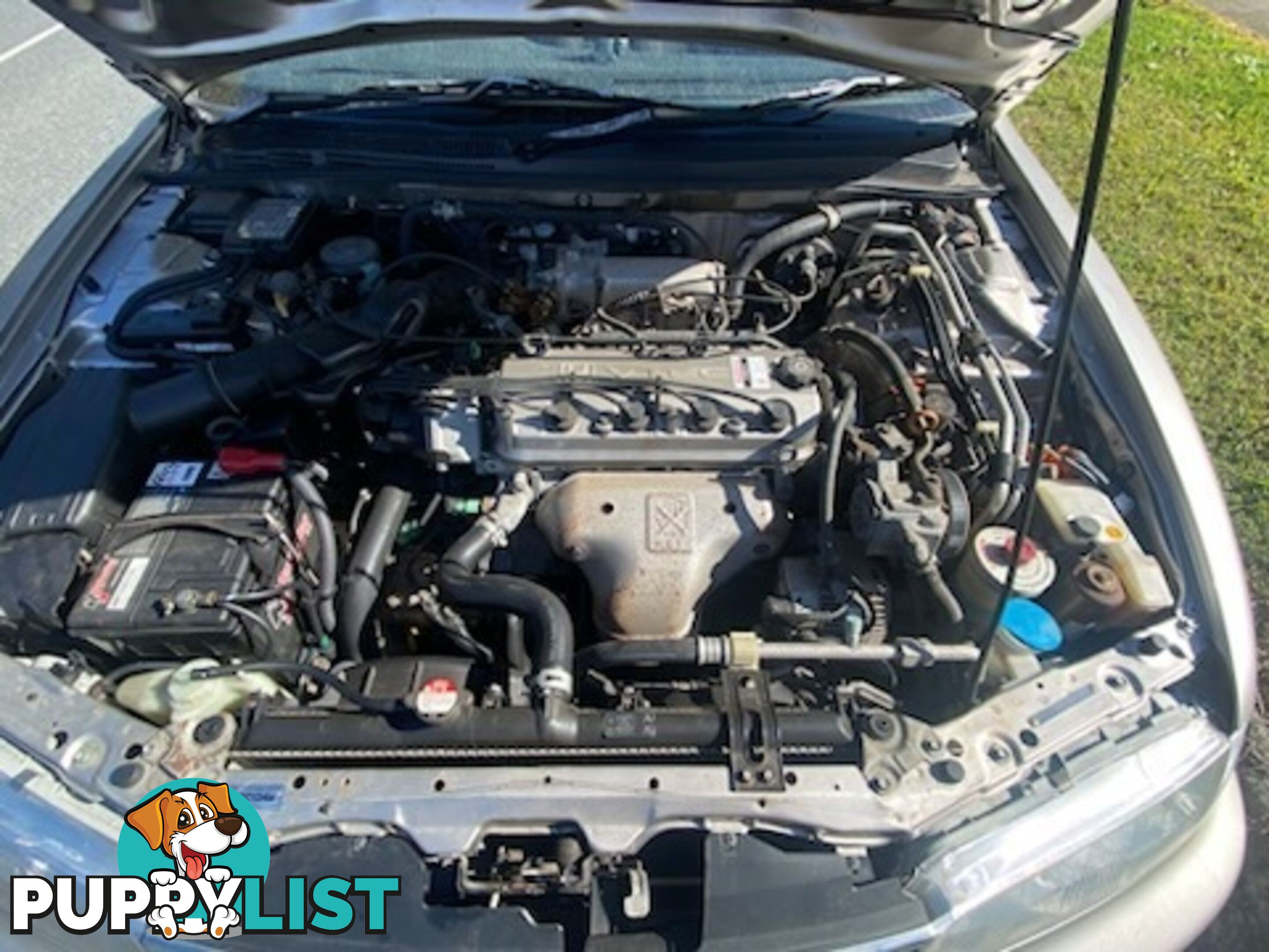 1997 Honda Accord Sedan Automatic