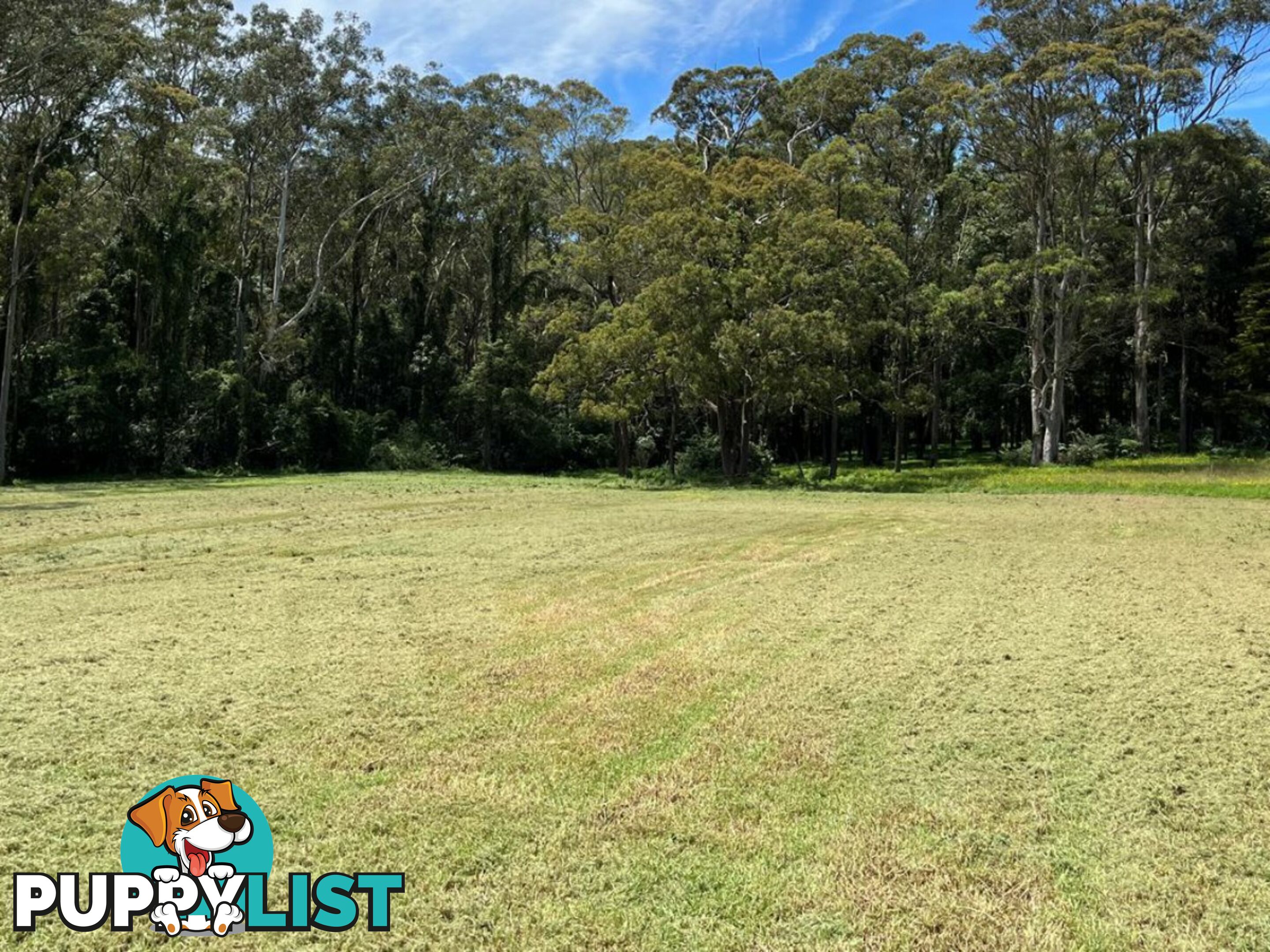 633 Old Northern Road DURAL NSW 2158