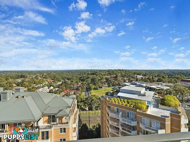 Level 10.09/135 Pacific Highway HORNSBY NSW 2077