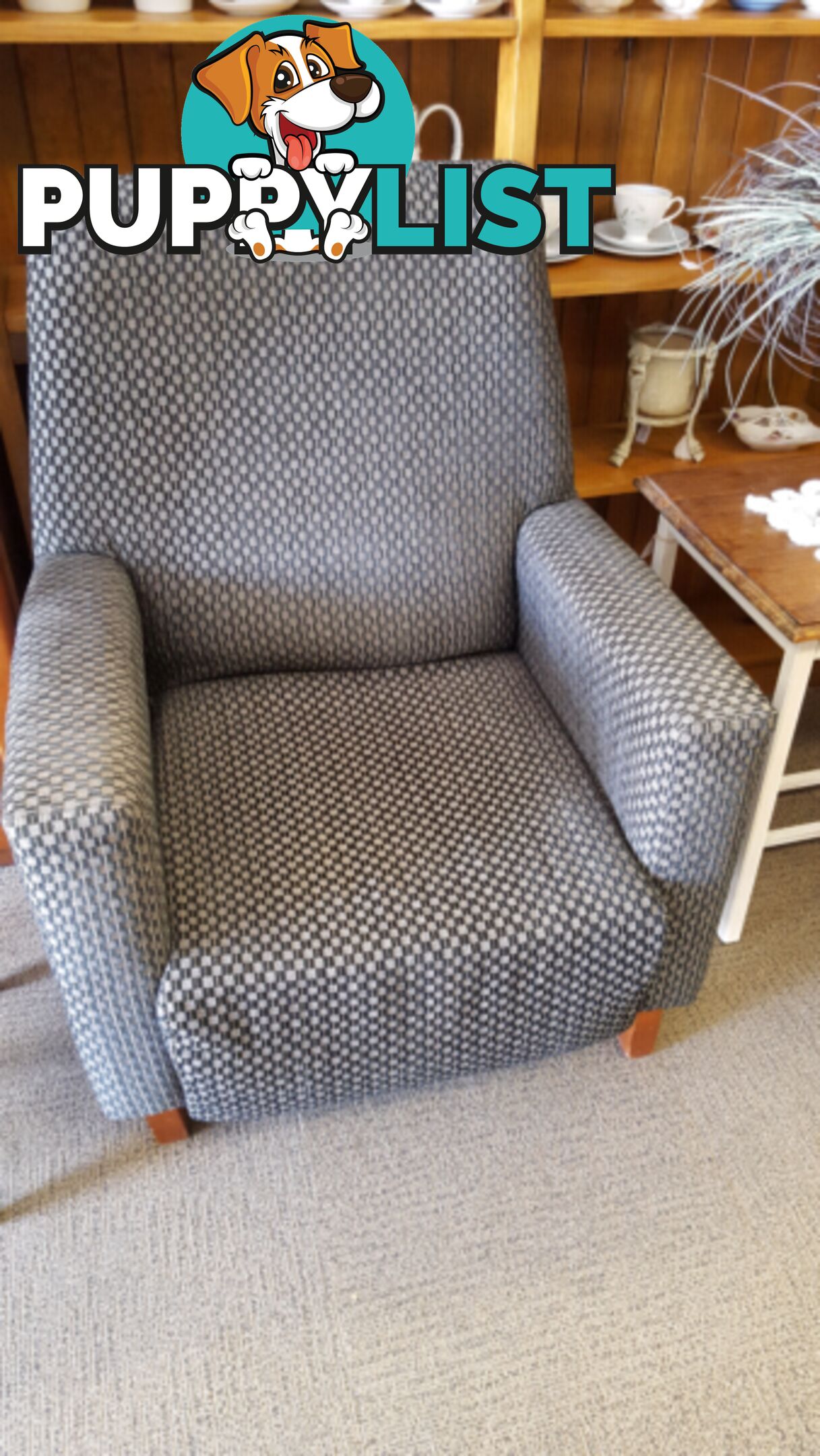 Comfy Arm Chairs great condition $65 each