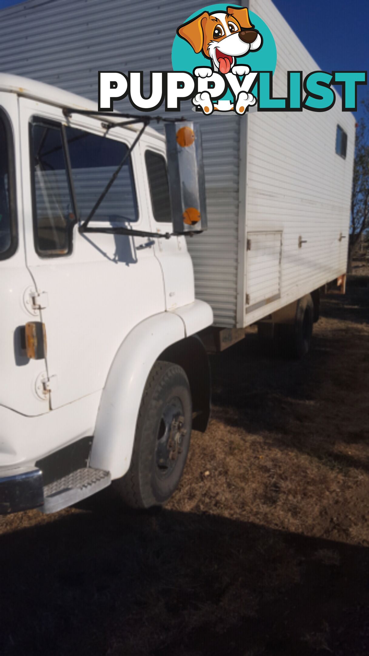 Horse Truck $4300