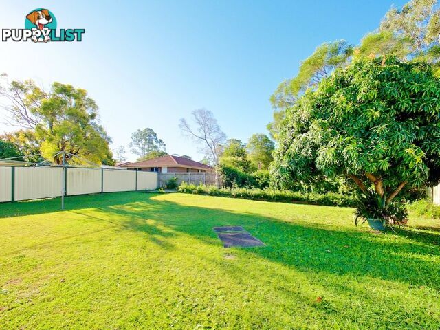 11 Gazania Street KINGSTON QLD 4114