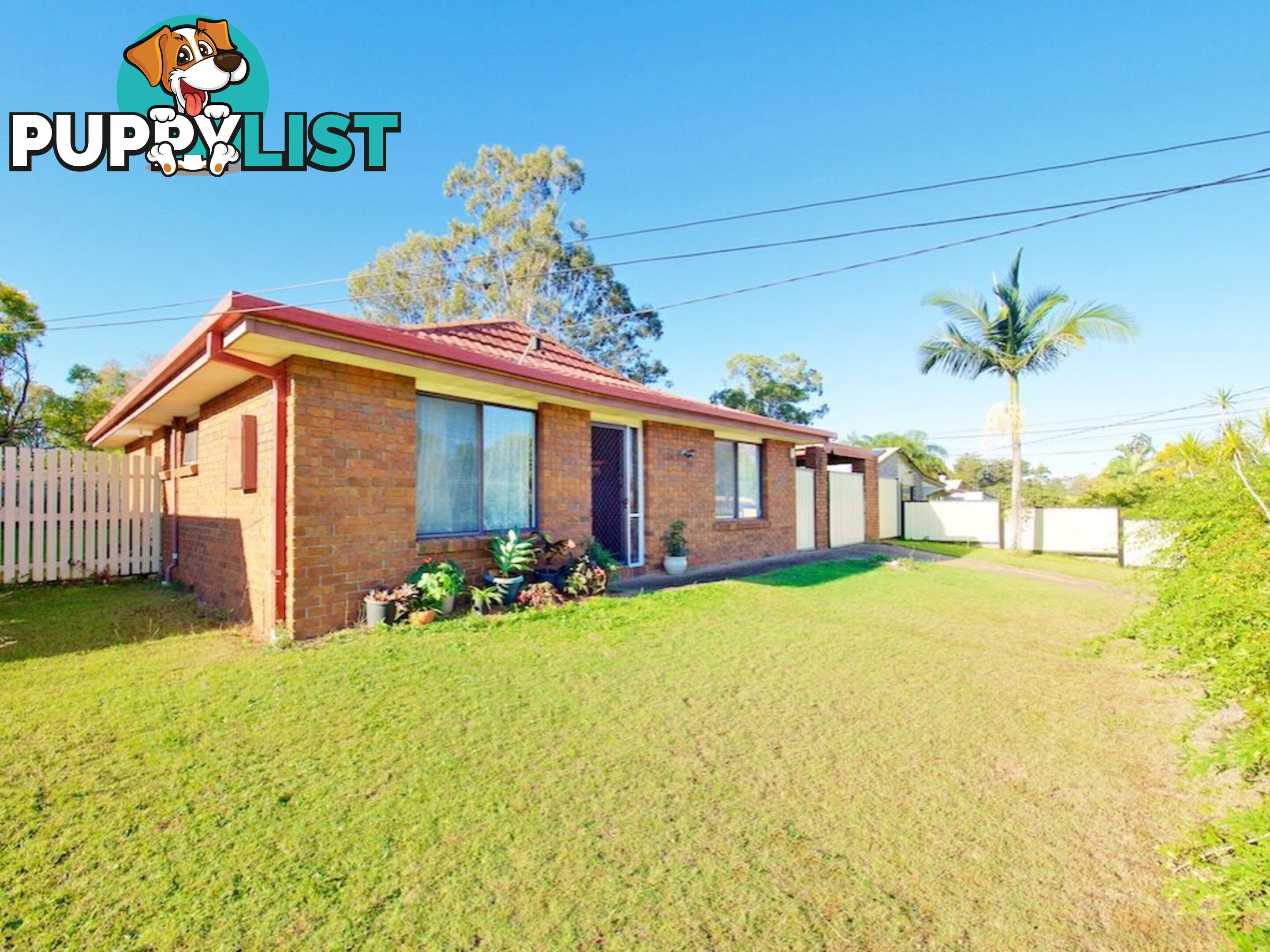 11 Gazania Street KINGSTON QLD 4114