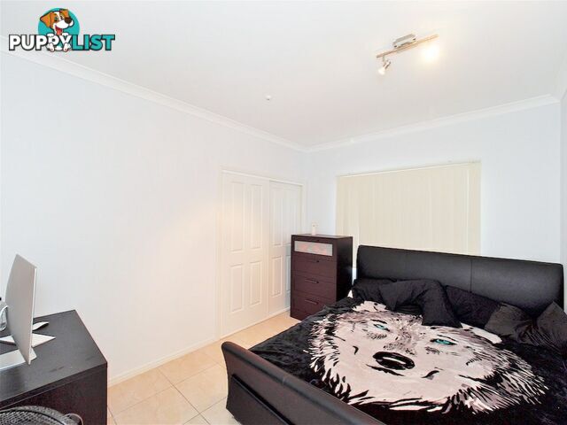 6 Bellthorpe Cresent WATERFORD QLD 4133