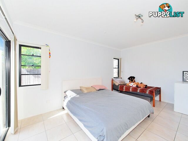 6 Bellthorpe Cresent WATERFORD QLD 4133