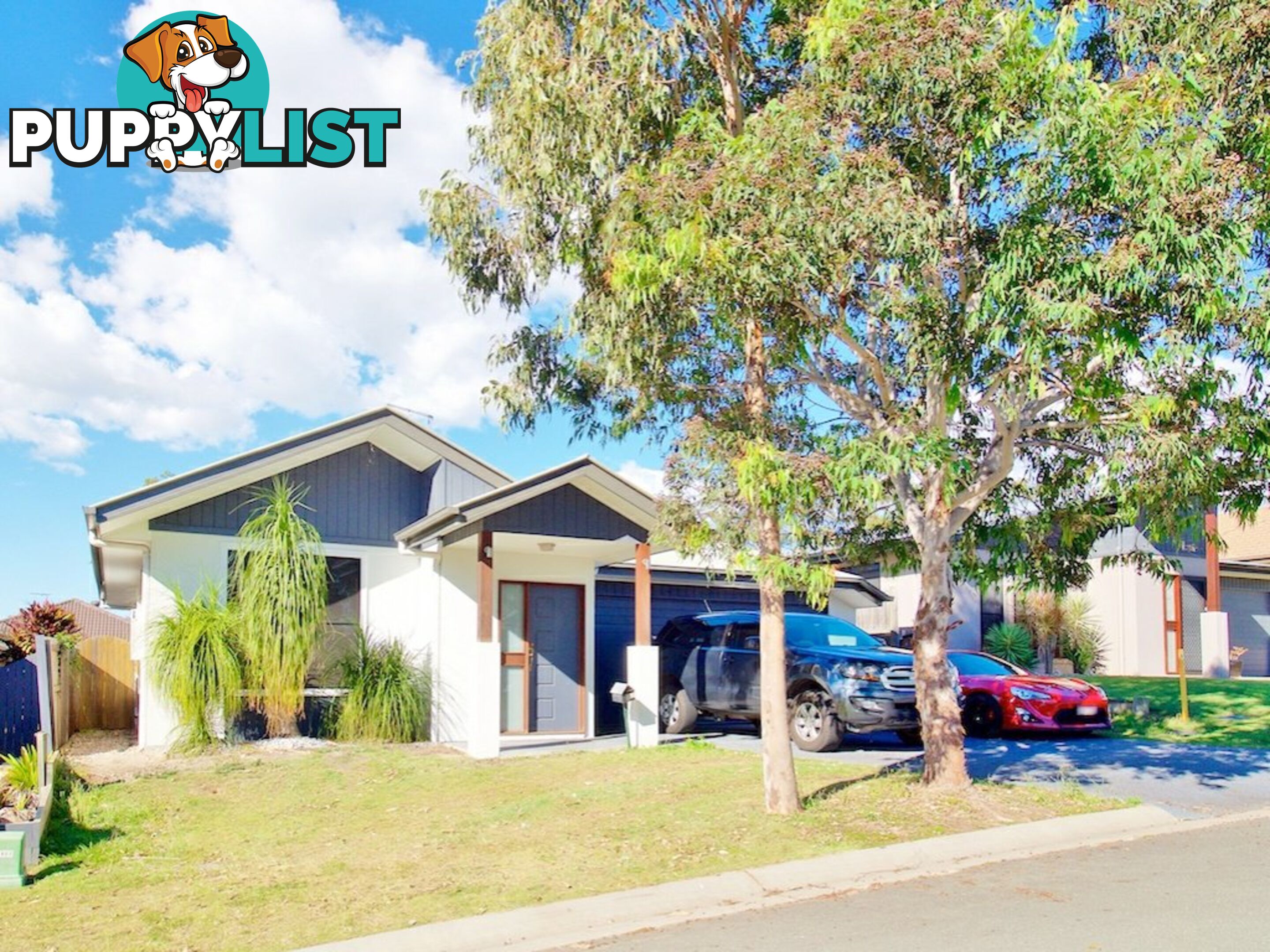 6 Bellthorpe Cresent WATERFORD QLD 4133