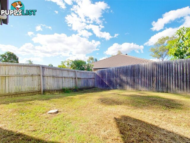 6 Bellthorpe Cresent WATERFORD QLD 4133