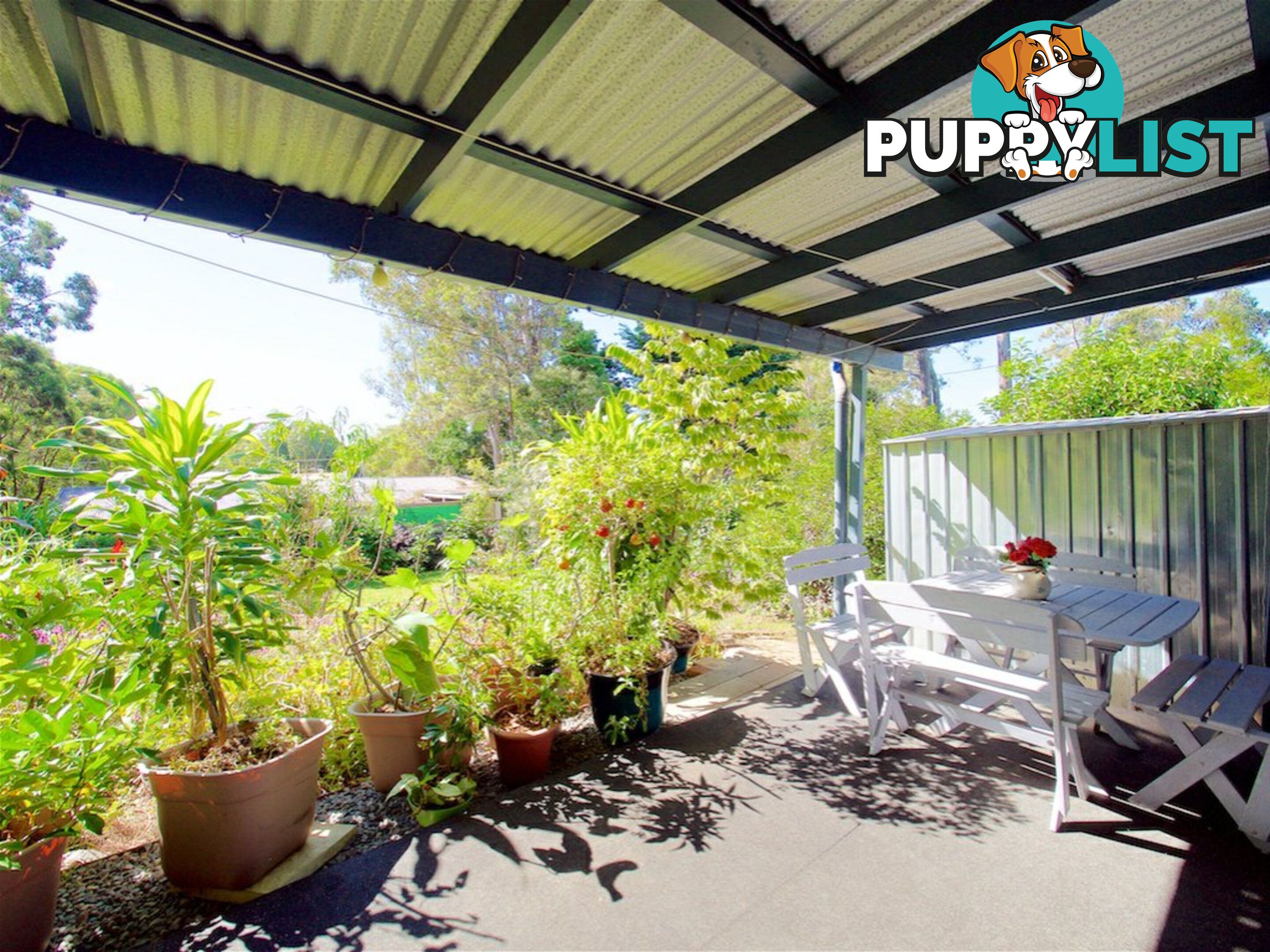 17 Sapium Street KINGSTON QLD 4114