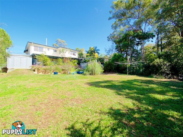 17 Sapium Street KINGSTON QLD 4114