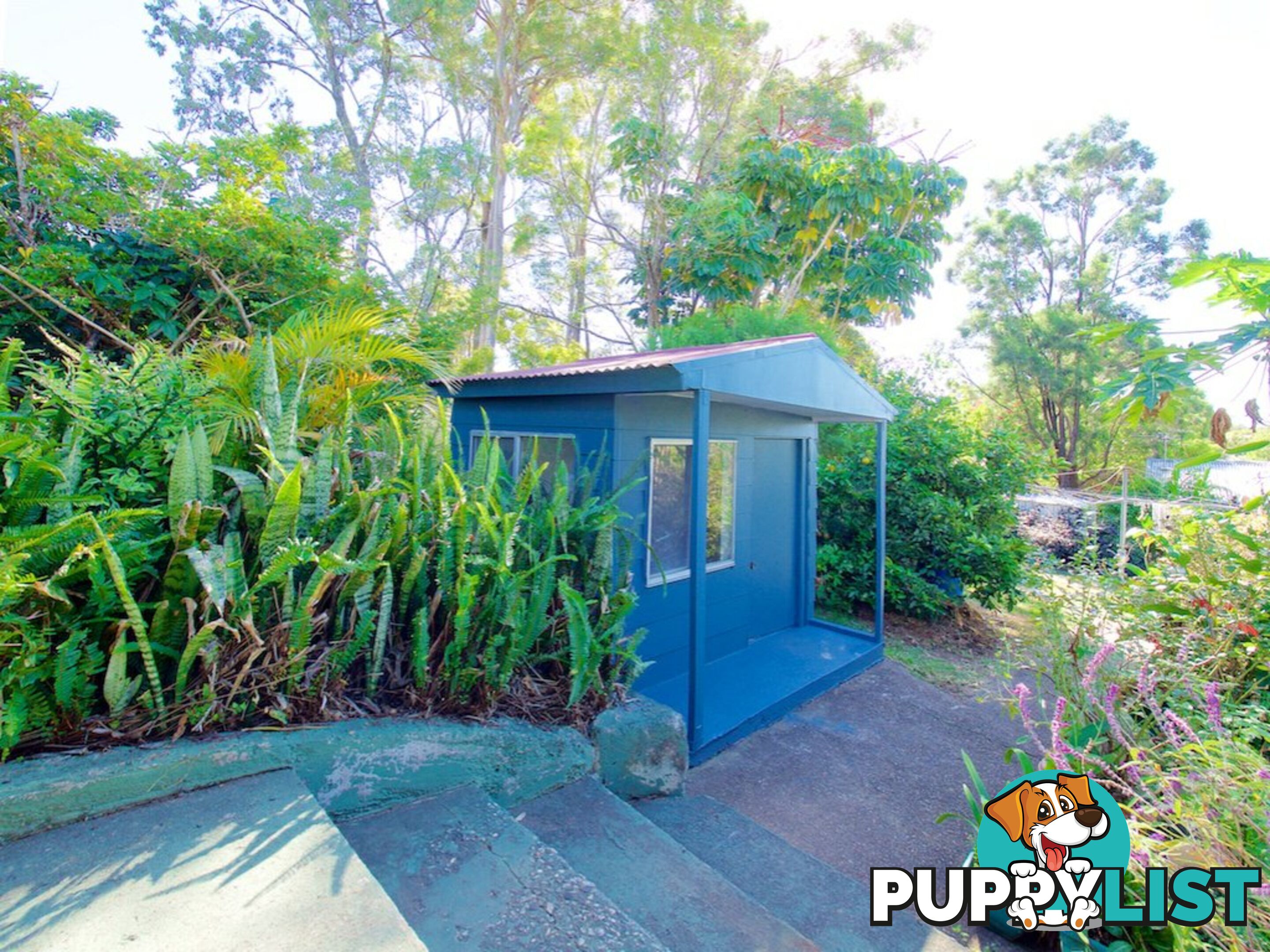 17 Sapium Street KINGSTON QLD 4114