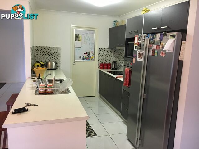 18 MacIntyre Street MARSDEN QLD 4132