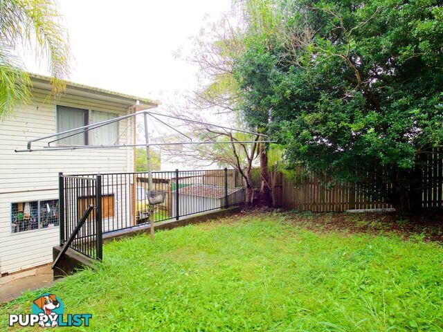 3 Leonard Street KINGSTON QLD 4114