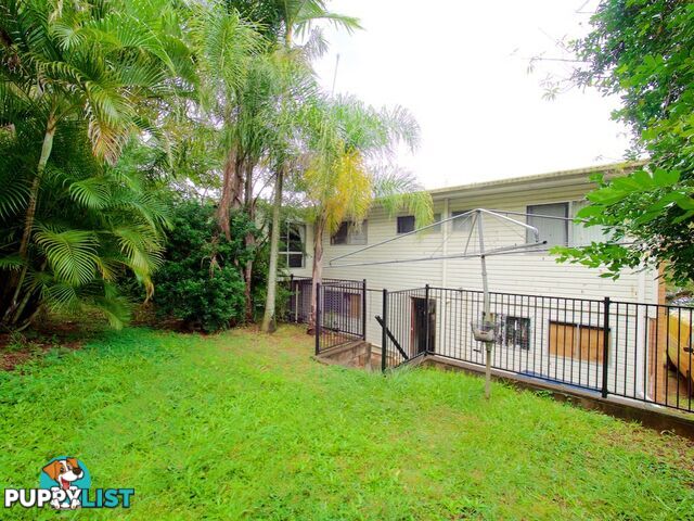 3 Leonard Street KINGSTON QLD 4114