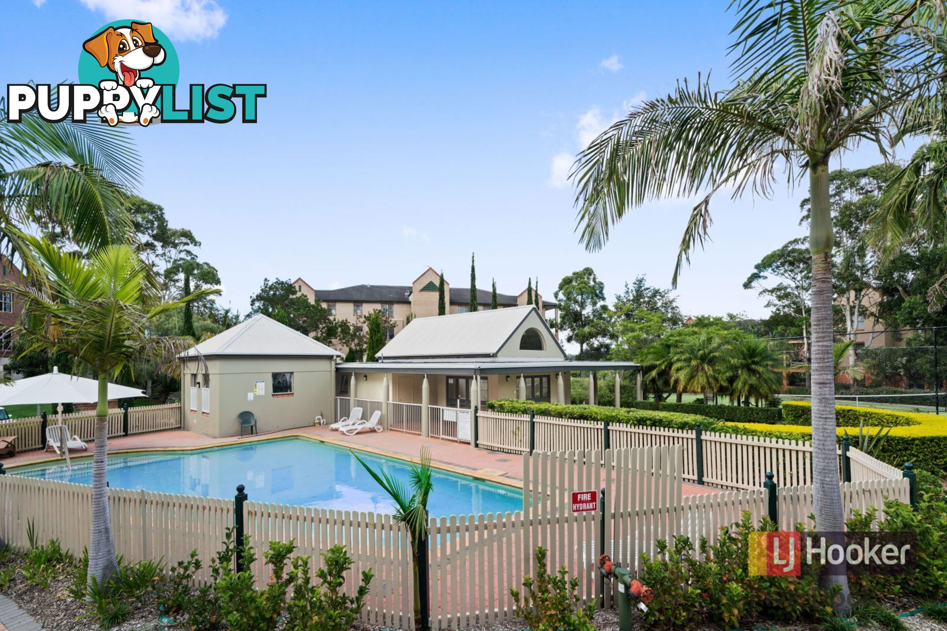 8/247B Burwood Road CONCORD NSW 2137