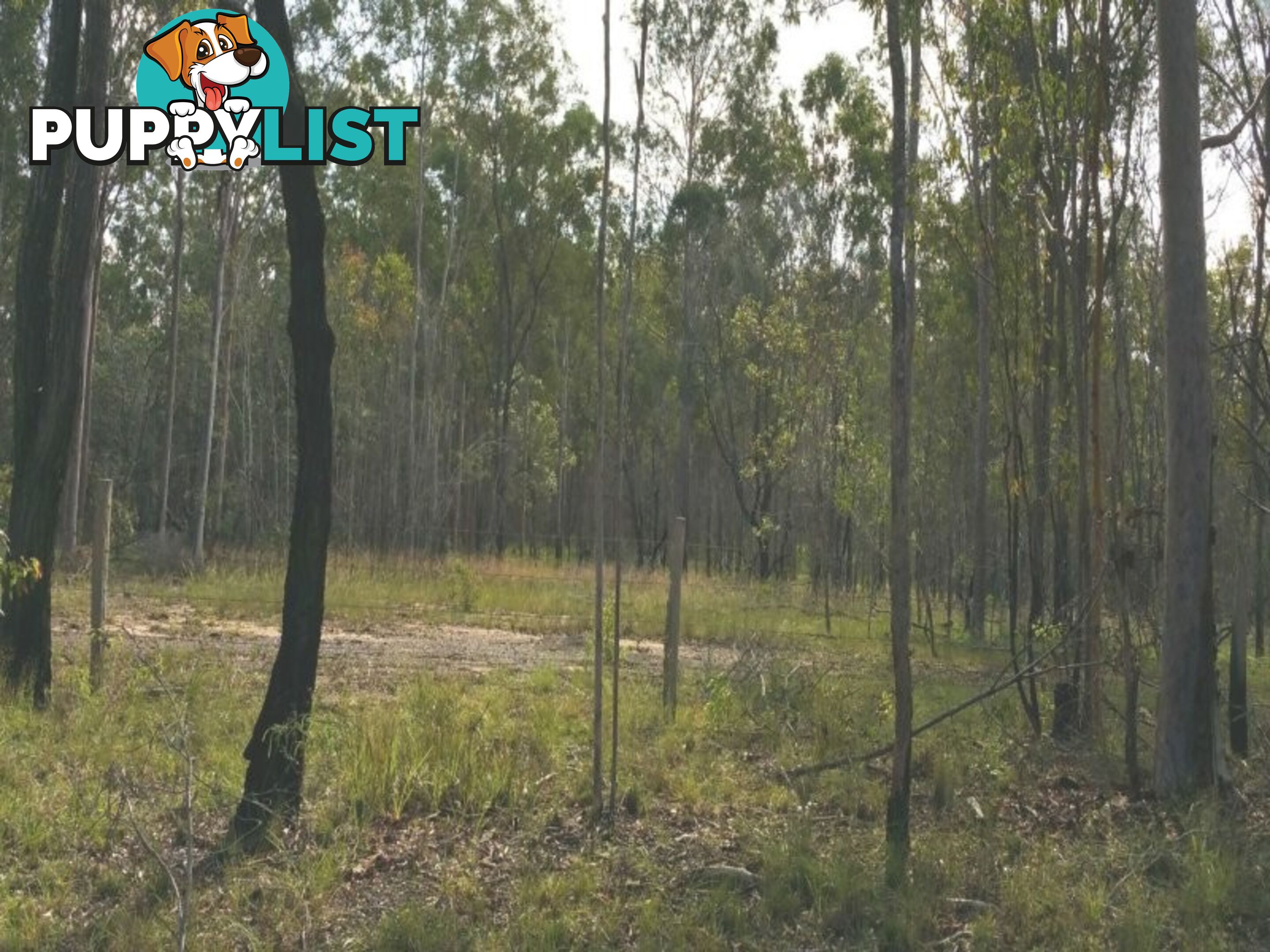 L76 Glenbar Road WOOCOO QLD 4620