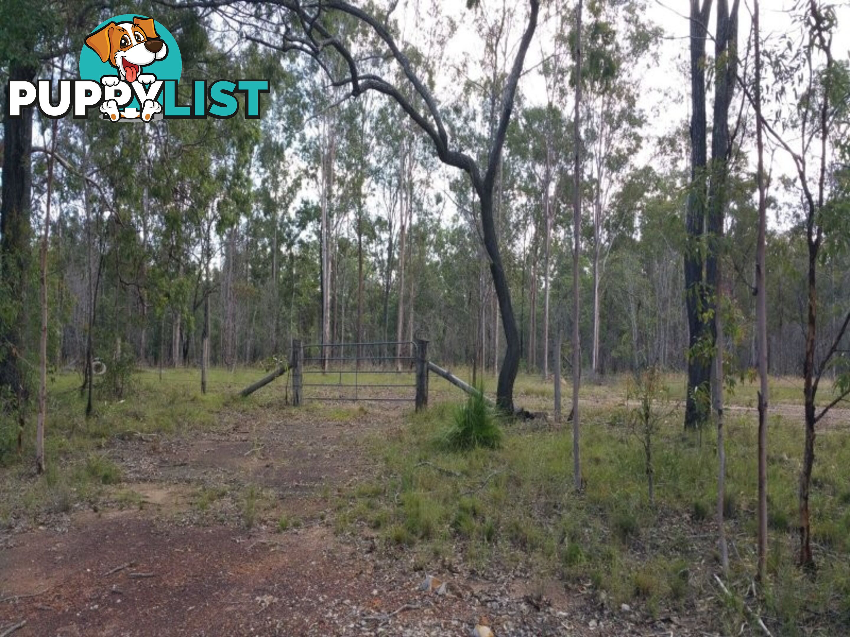 L76 Glenbar Road WOOCOO QLD 4620