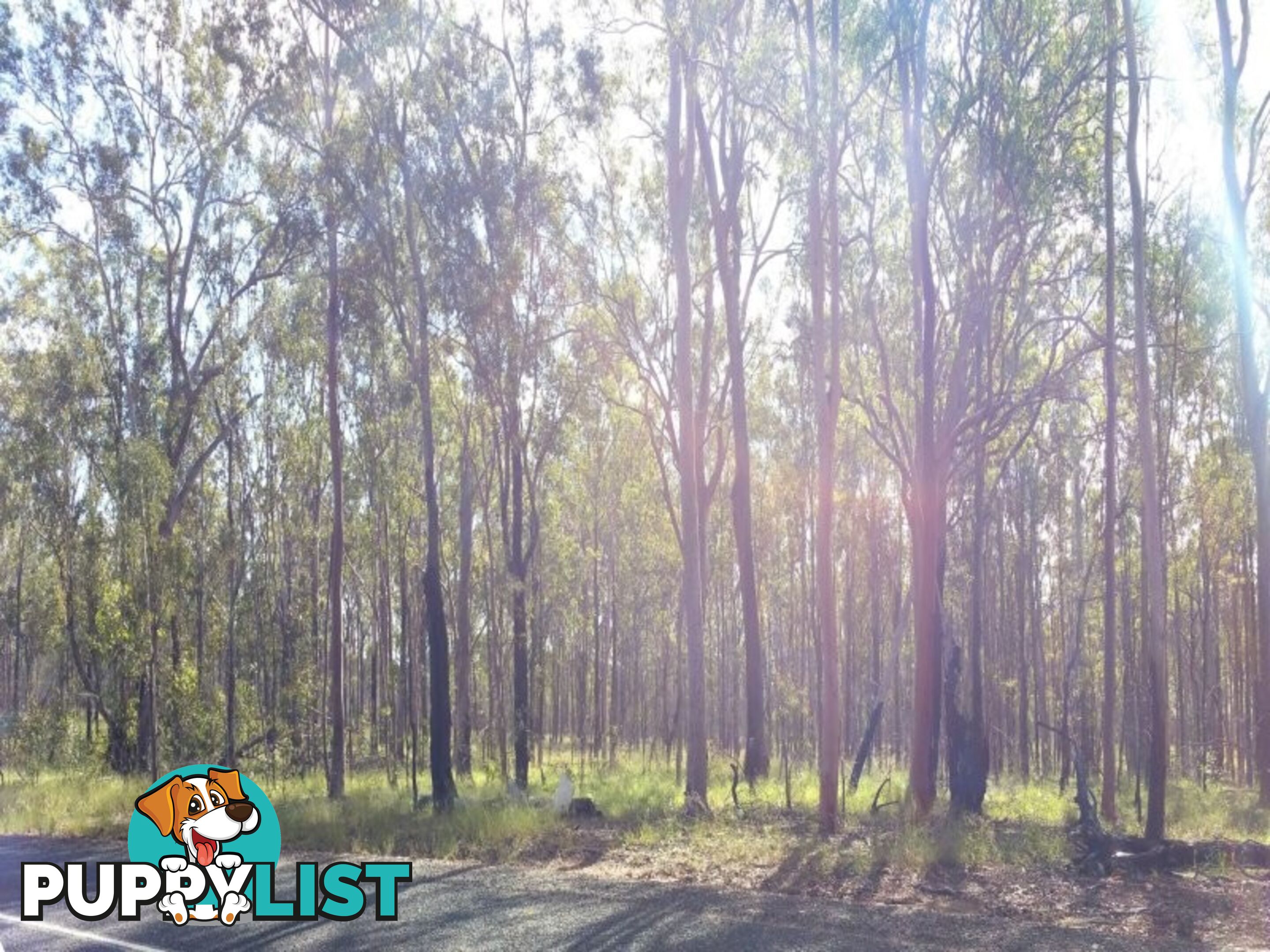 L76 Glenbar Road WOOCOO QLD 4620