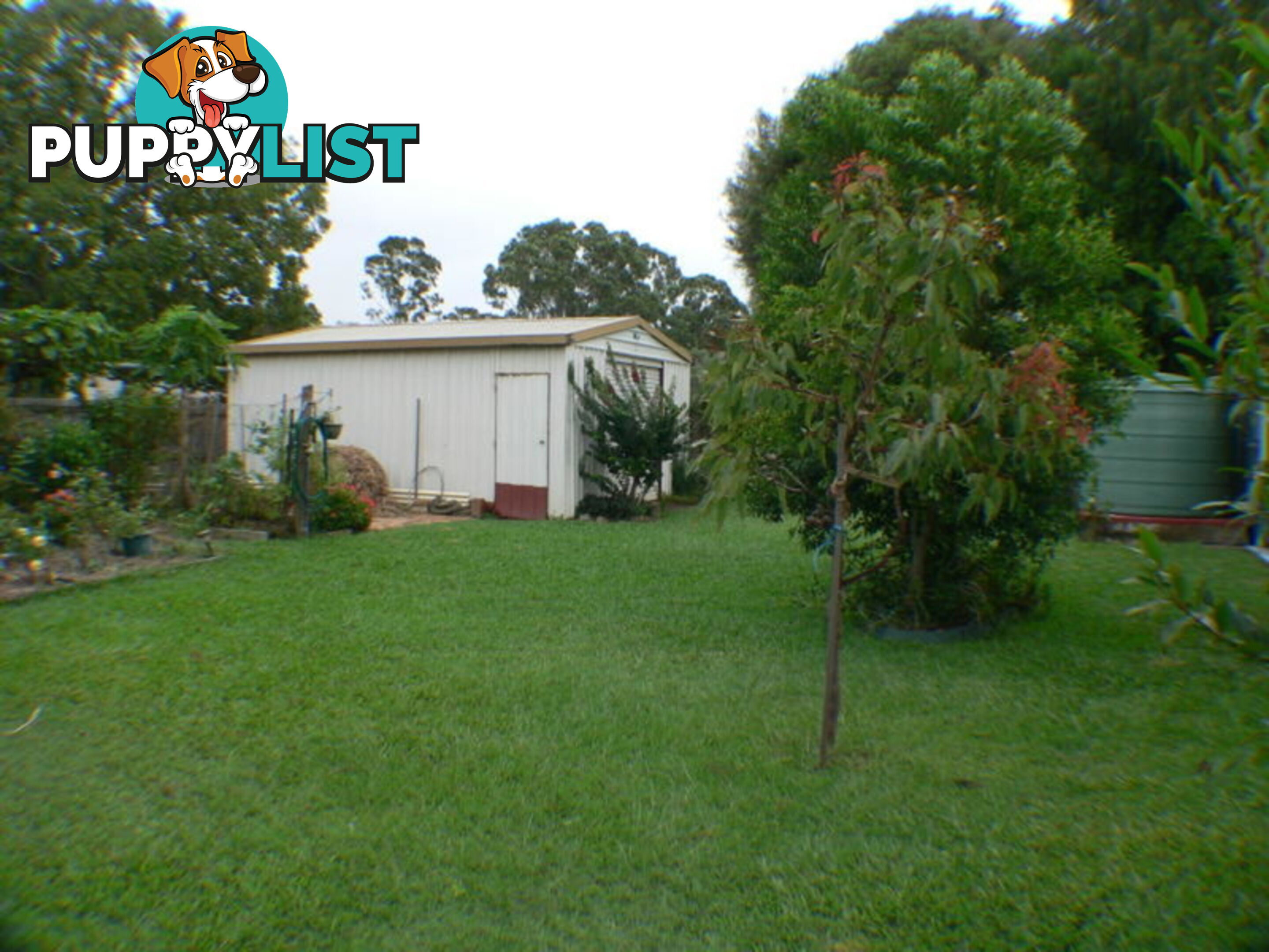 5 Caringa Street MARYBOROUGH QLD 4650