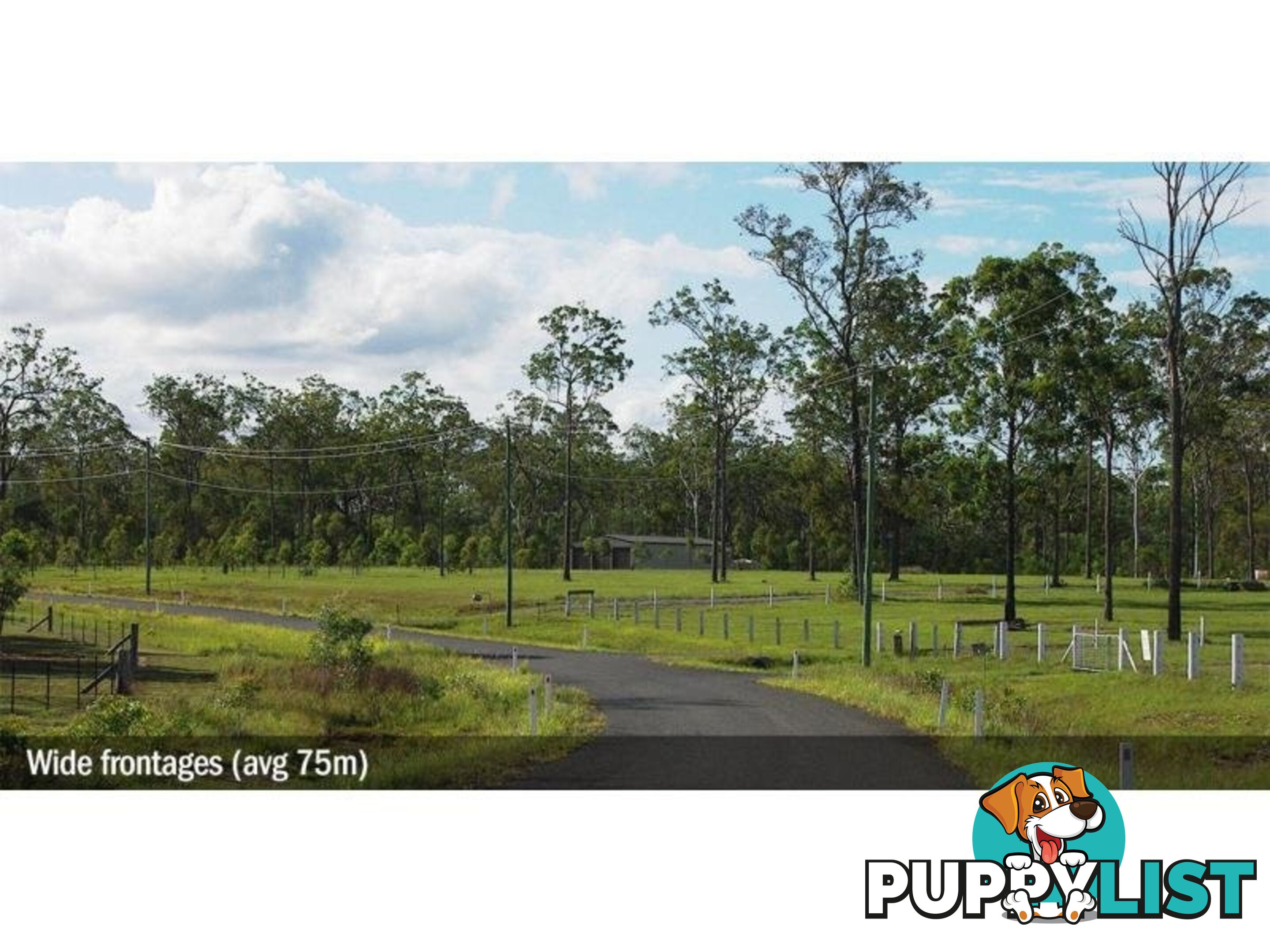 1 Cnr Lomandra Lane & Wallum Froglet Court DUNMORA QLD 4650