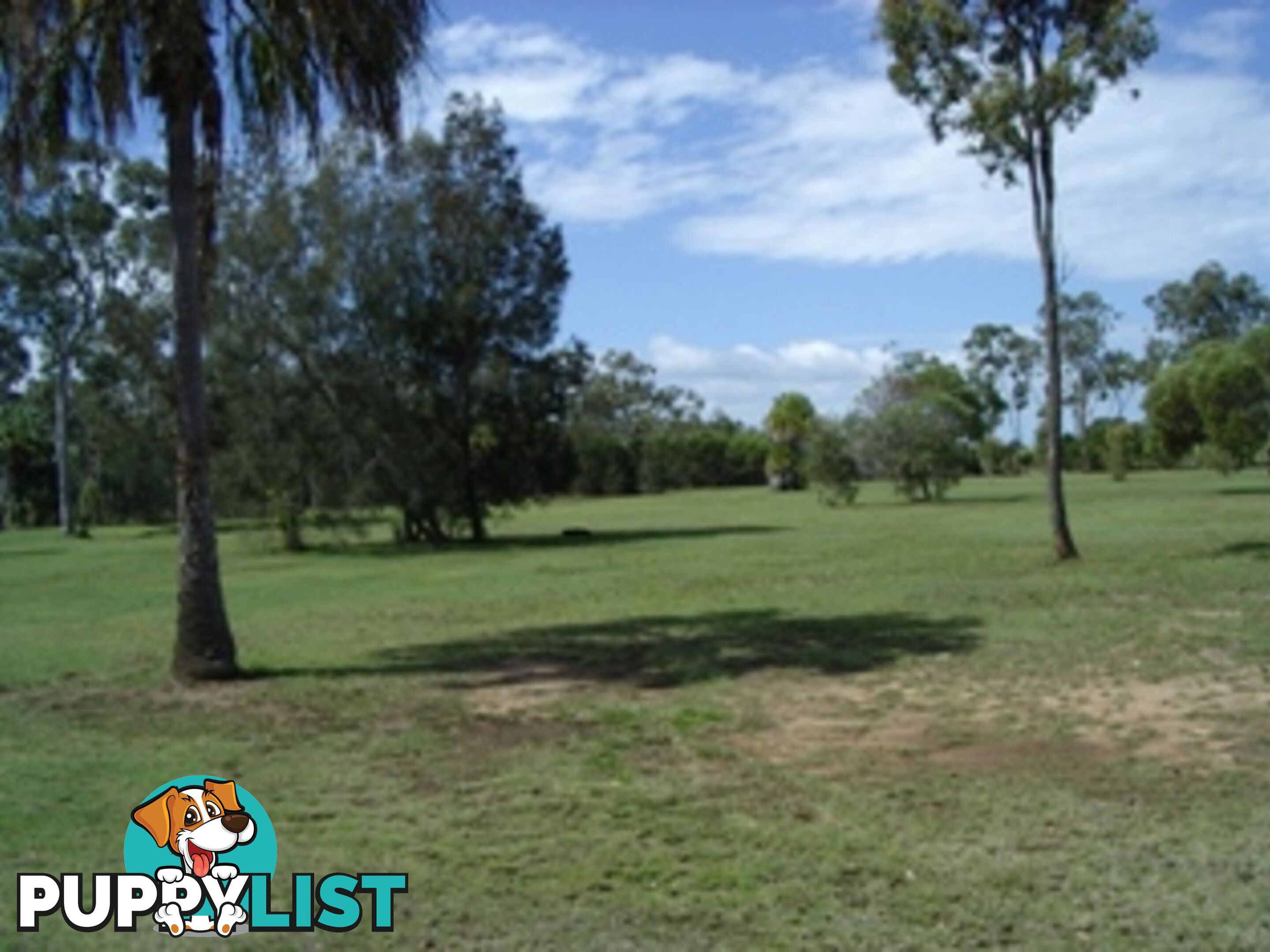 6 Esplanade Boonooroo QLD 4650