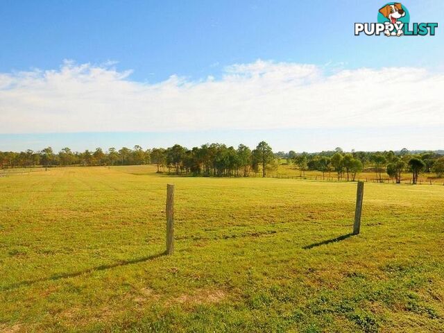 2,3,5,9 Carne Court BIDWILL QLD 4650