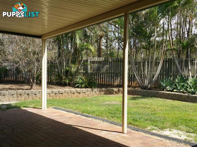 12 Satinwood Close TINANA QLD 4650