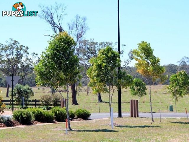 L2 Timbers Reserve Street MARYBOROUGH WEST QLD 4650