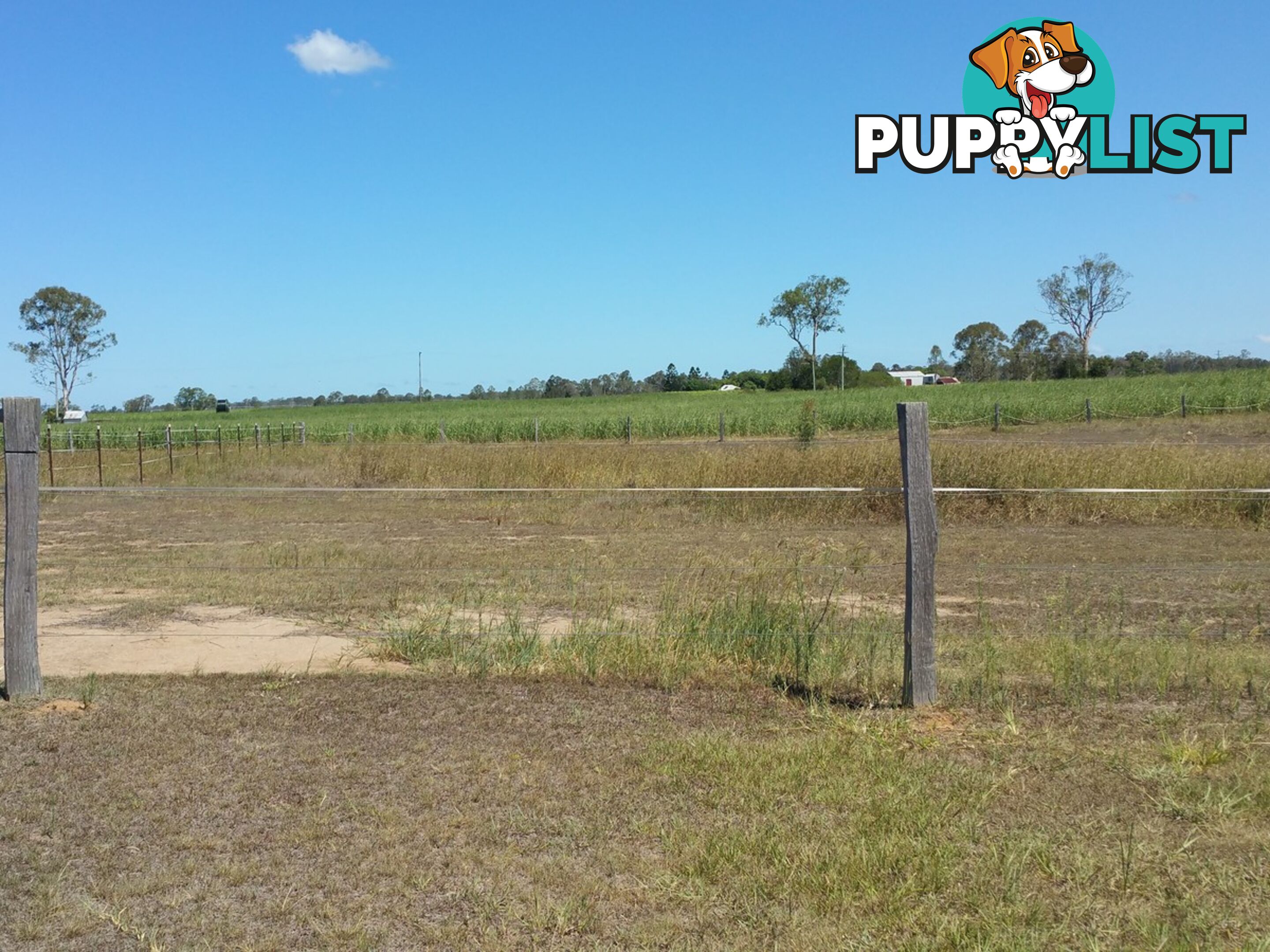 170 Island Plantation Road Maryborough QLD 4650