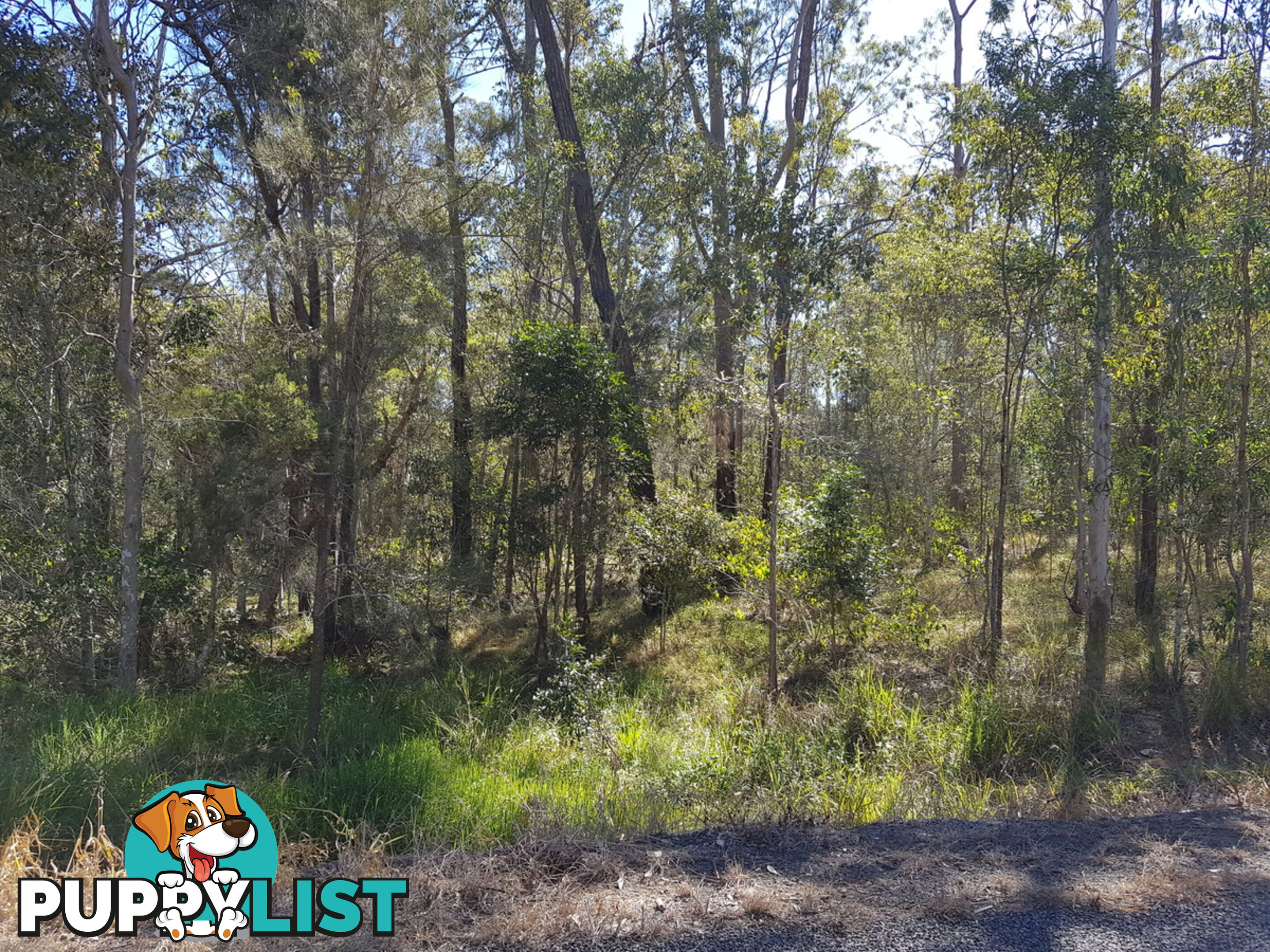 265 Lot 265 Van Hensbroek Road Bauple QLD 4650