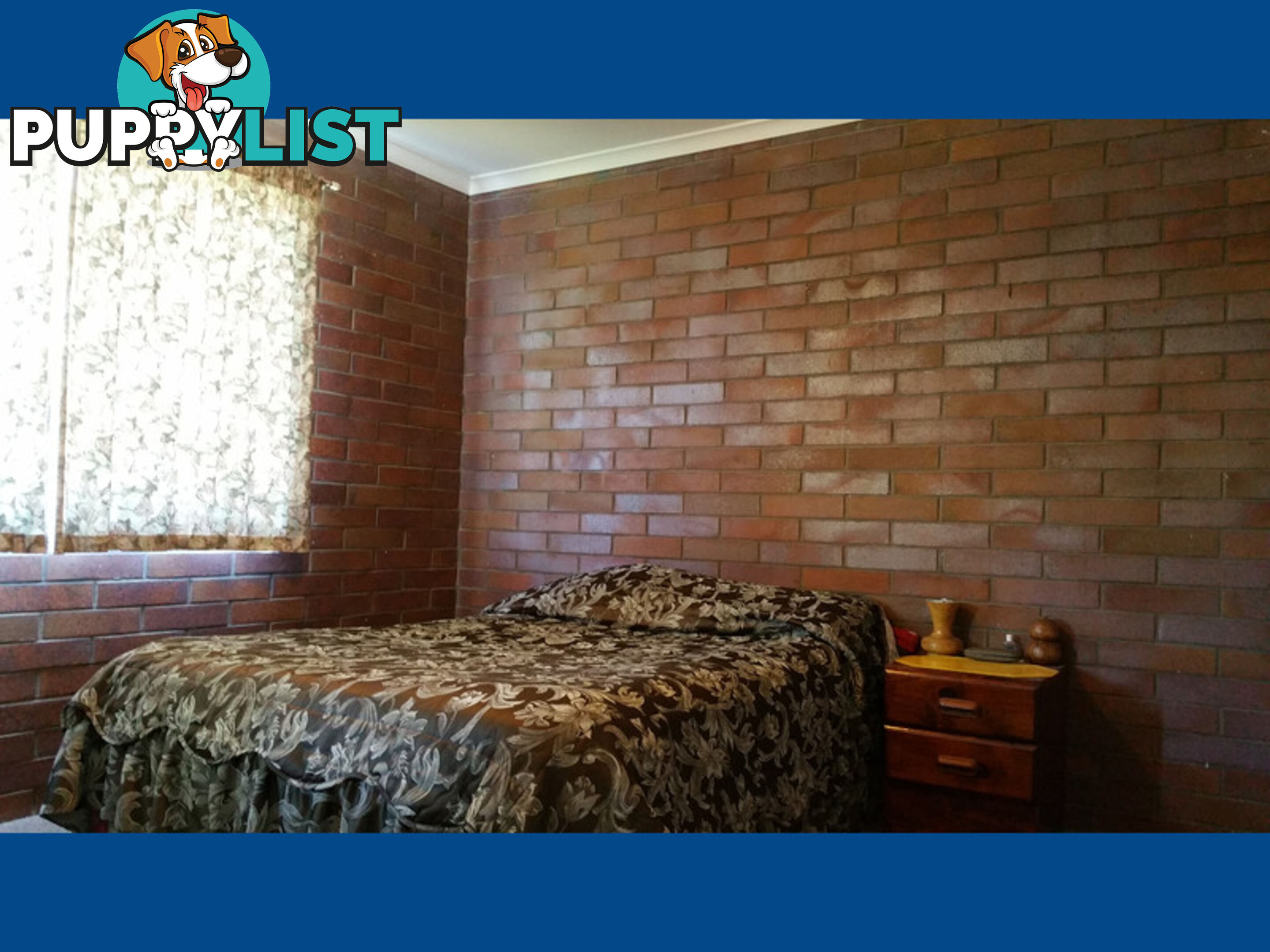 1 & 3 239 Albert Albert Street Maryborough QLD 4650