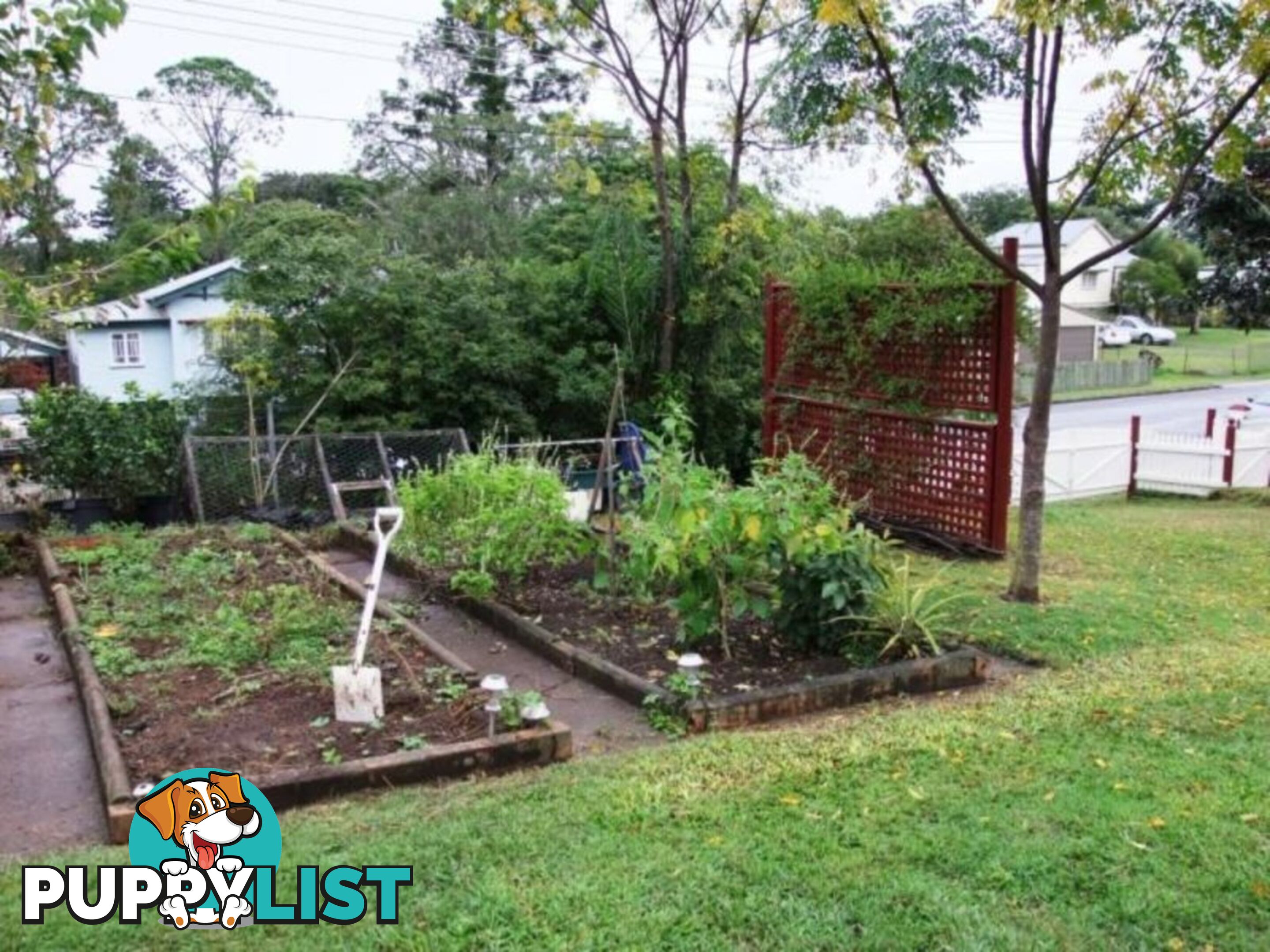 221 Ann Street MARYBOROUGH QLD 4650