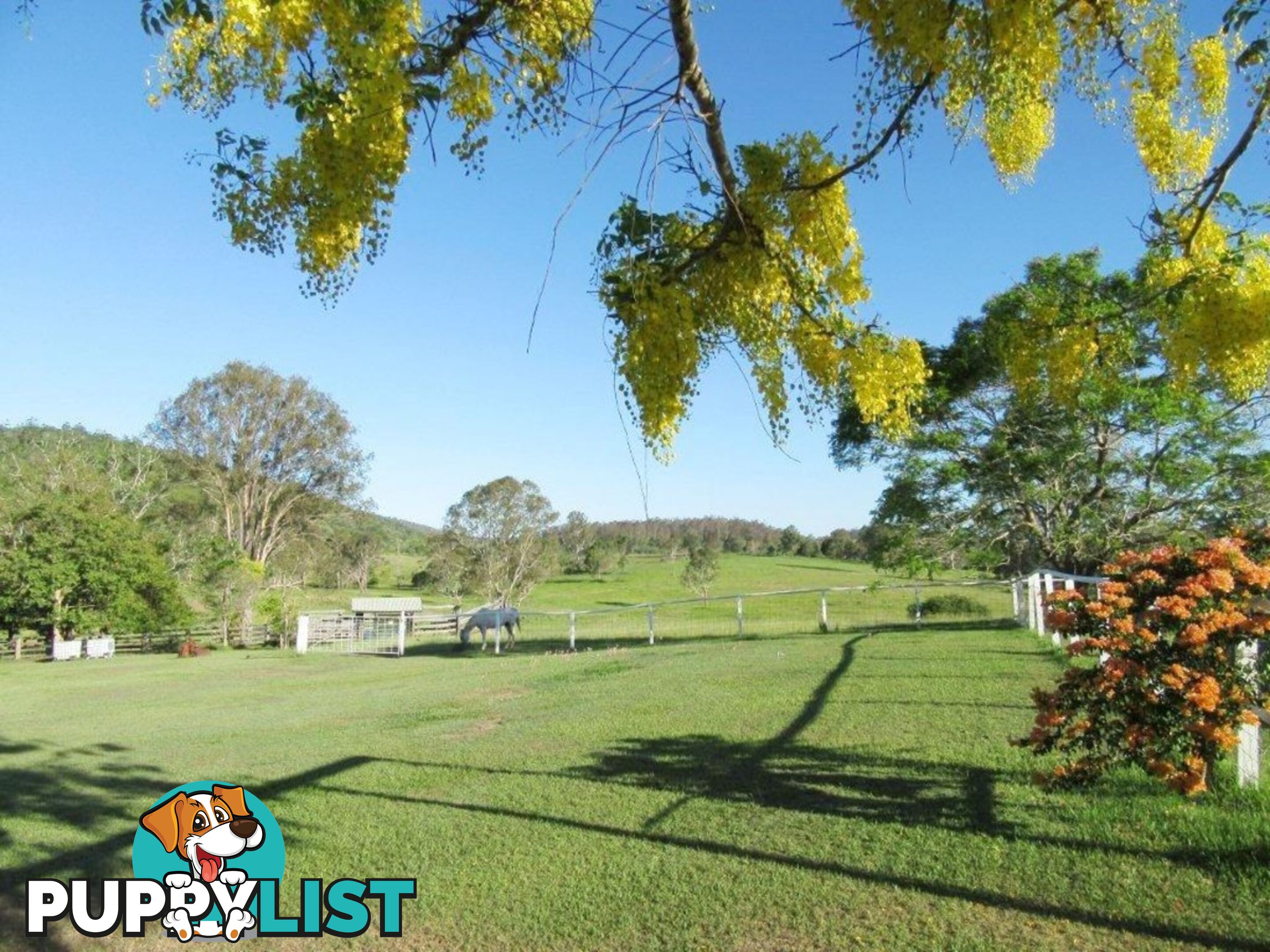 287 Bauple Woolooga Road Gootchie QLD 4650