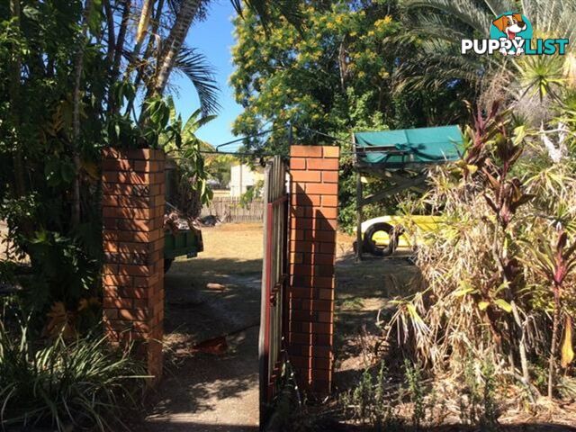 343 Albert Street Maryborough QLD 4650