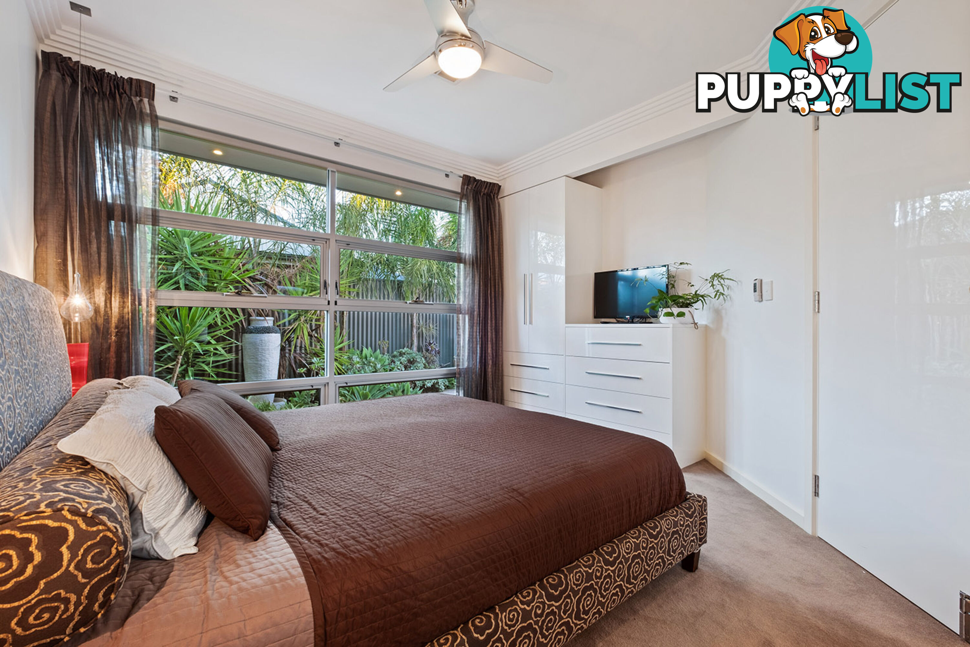 65A South Terrace PLYMPTON PARK SA 5038