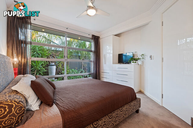 65A South Terrace PLYMPTON PARK SA 5038