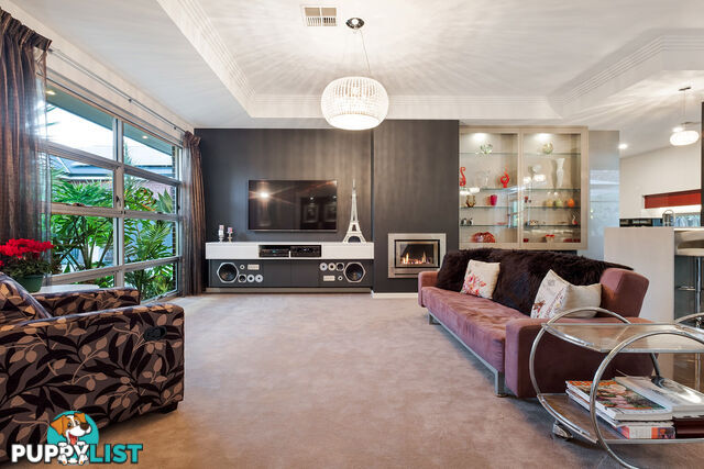 65A South Terrace PLYMPTON PARK SA 5038