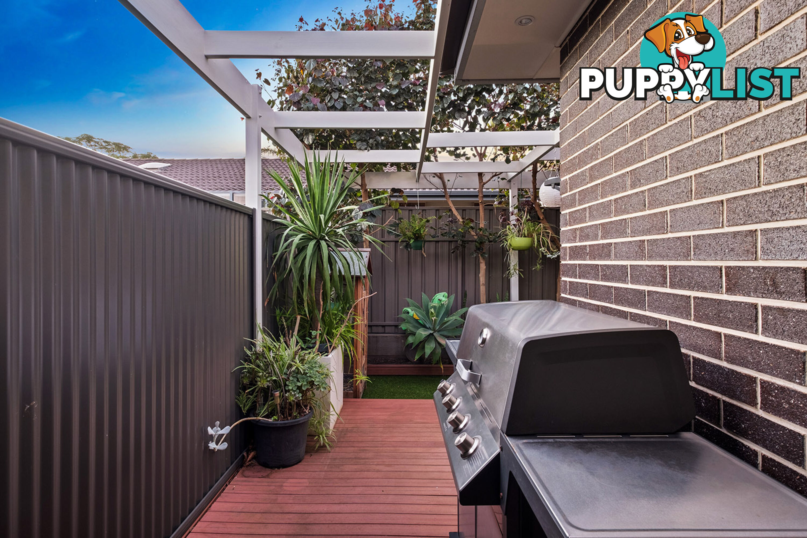 65A South Terrace PLYMPTON PARK SA 5038