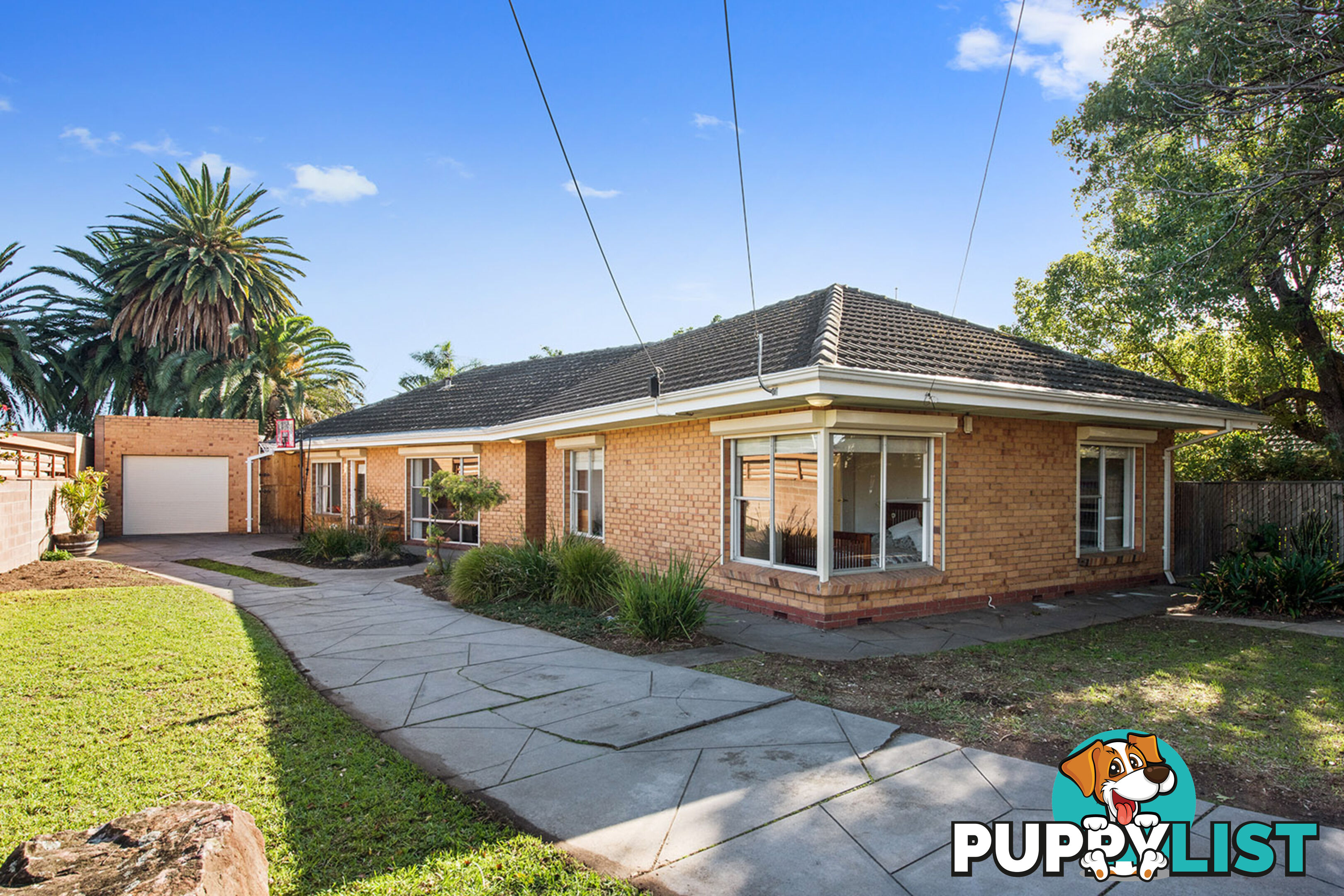 40 Bransby Avenue PLYMPTON SA 5038