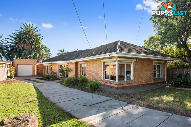 40 Bransby Avenue PLYMPTON SA 5038