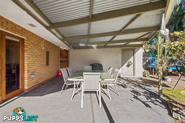 40 Bransby Avenue PLYMPTON SA 5038