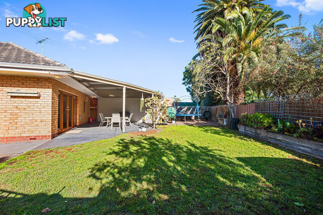 40 Bransby Avenue PLYMPTON SA 5038