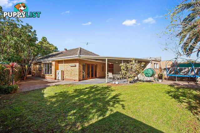 40 Bransby Avenue PLYMPTON SA 5038