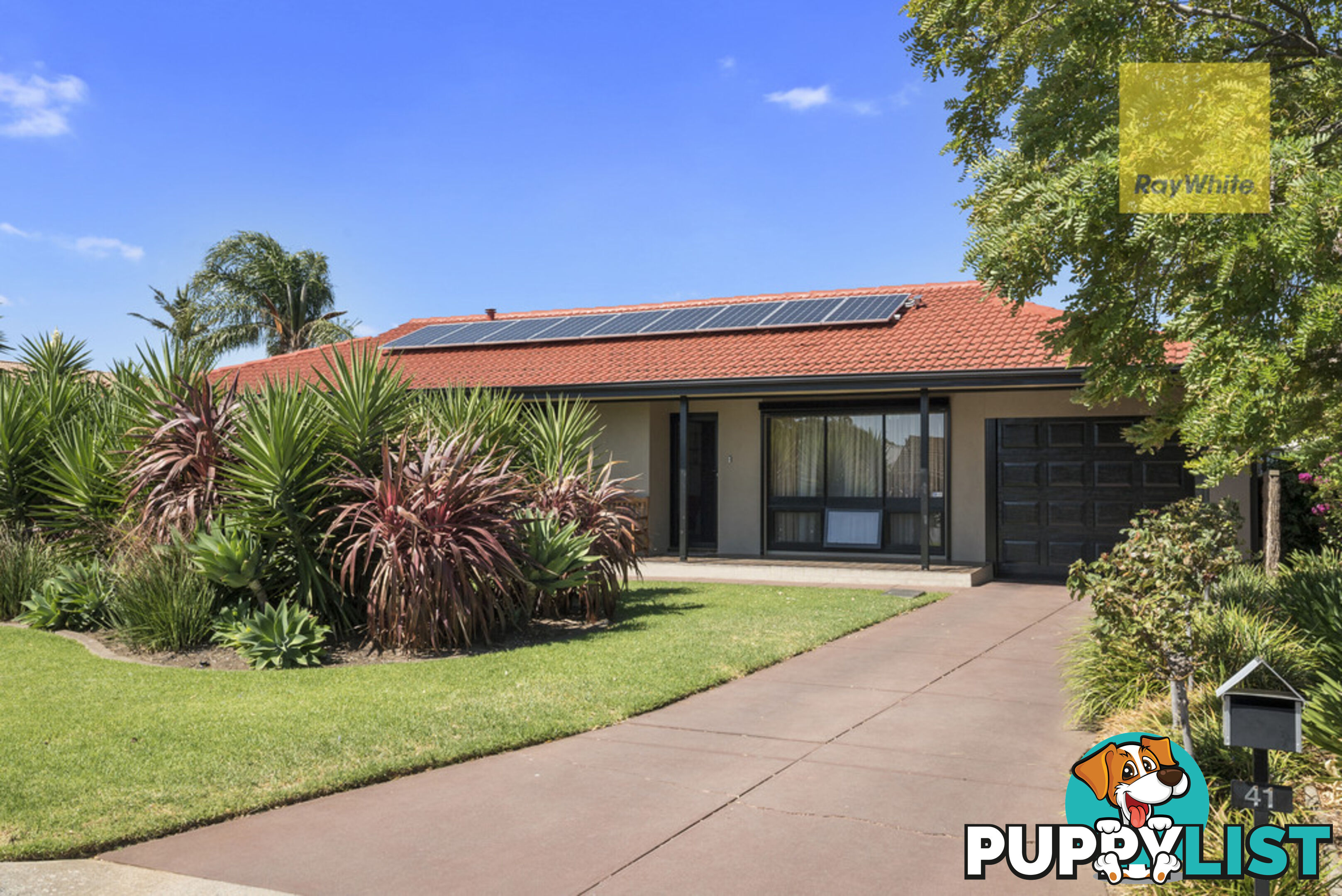 41 Mitchell Street GLENGOWRIE SA 5044