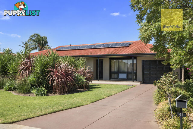 41 Mitchell Street GLENGOWRIE SA 5044