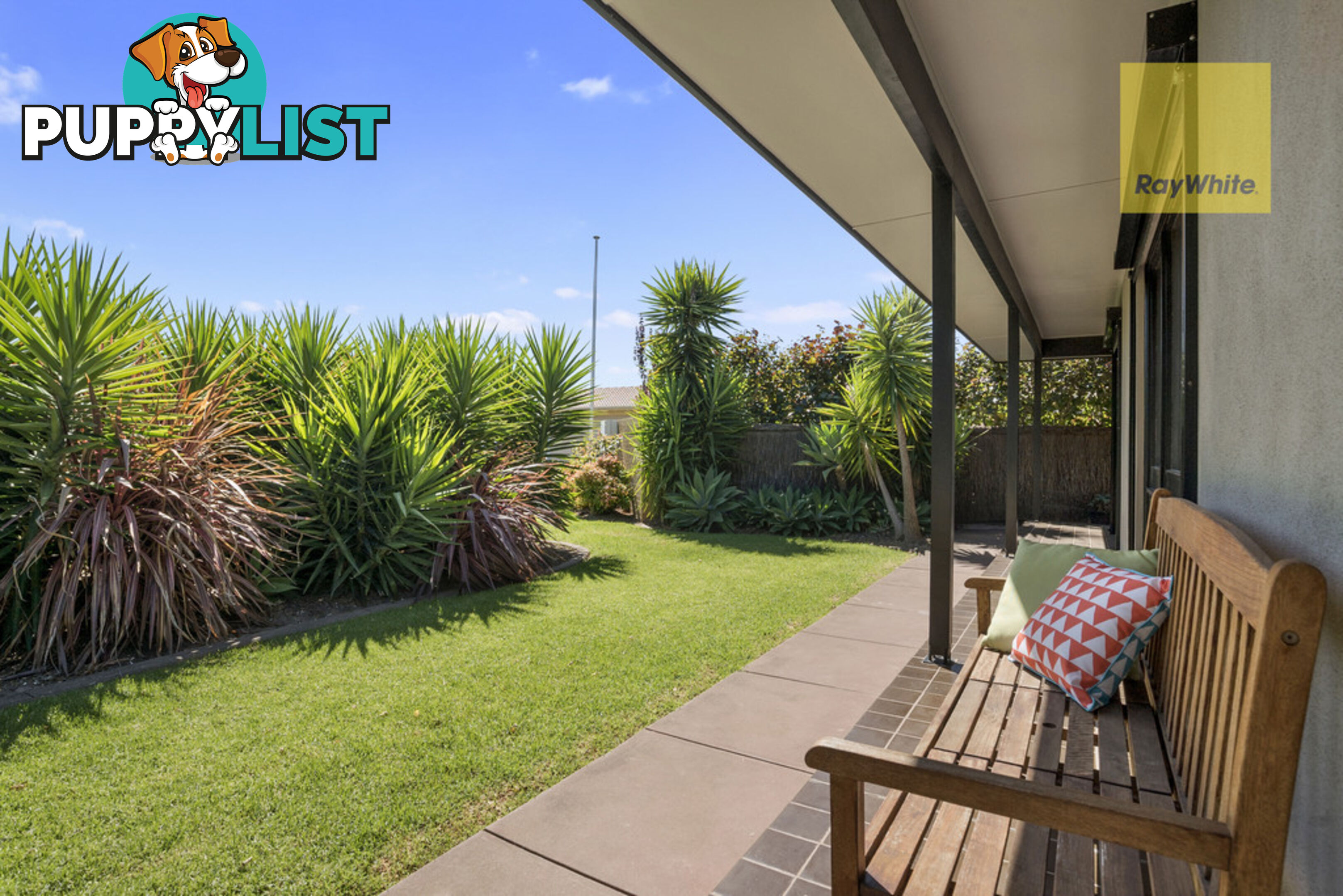 41 Mitchell Street GLENGOWRIE SA 5044