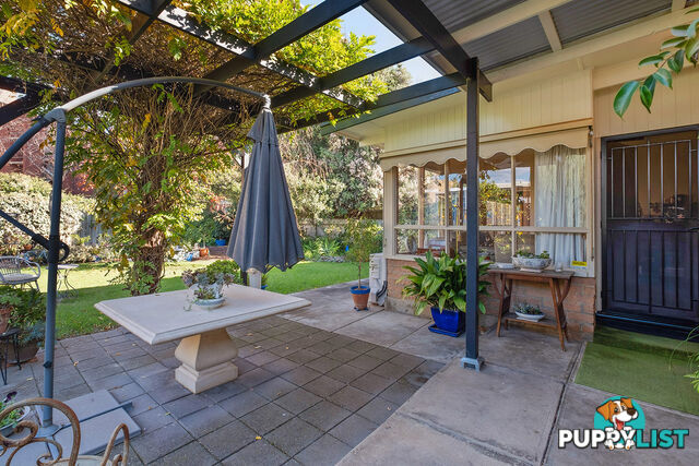 7 Glenburnie Terrace PLYMPTON SA 5038