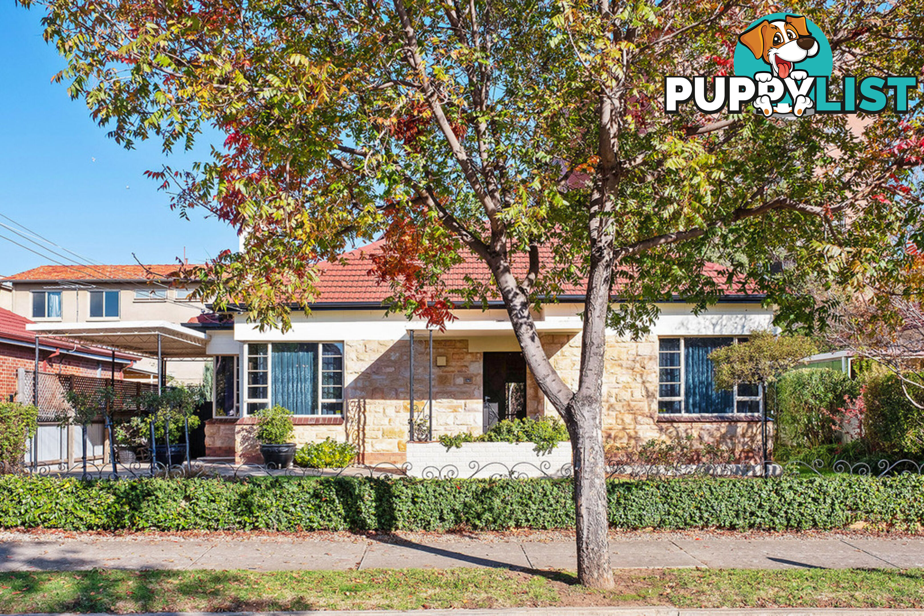 7 Glenburnie Terrace PLYMPTON SA 5038