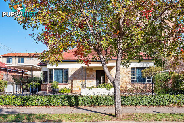 7 Glenburnie Terrace PLYMPTON SA 5038